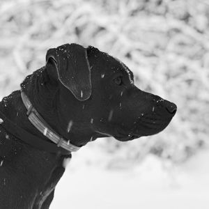 Meet your Posher, Jeff